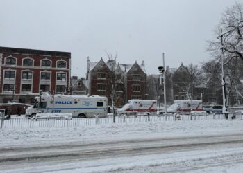 צפו: ניו יורק נצבעה בלבן והעיר שקטה