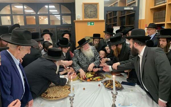 טו בשבט אצל האדמו”ר מזמיגרד שליט”א באנטווערפן