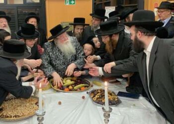 טו בשבט אצל האדמו”ר מזמיגרד שליט”א באנטווערפן