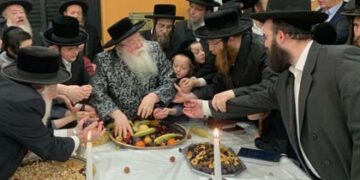 טו בשבט אצל האדמו”ר מזמיגרד שליט”א באנטווערפן