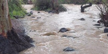 עקב הגשמים: עליה חדה במפלס הכינרת