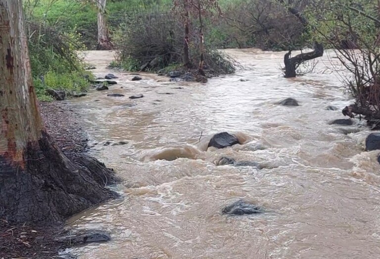 עקב הגשמים: עליה חדה במפלס הכינרת 