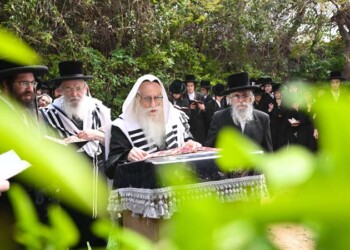 תמונות ברכת האילנות ר”ח ניסן