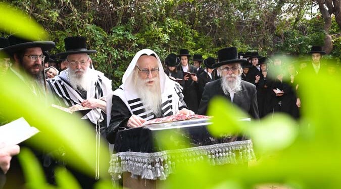 תמונות ברכת האילנות ר”ח ניסן