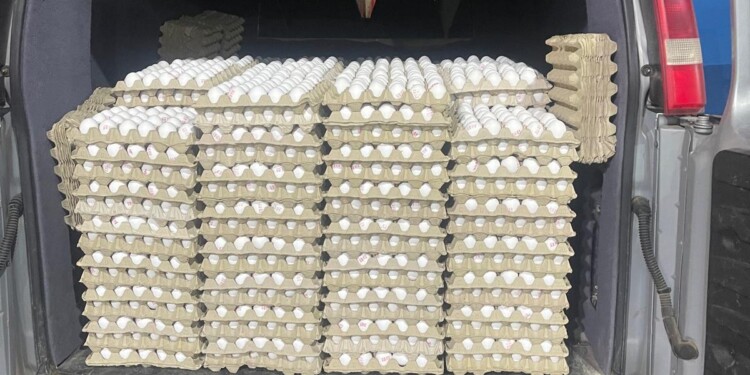 עשרות אלפי ביצים מהרשות הושמדו לפני שהגיע לשוק החרדי