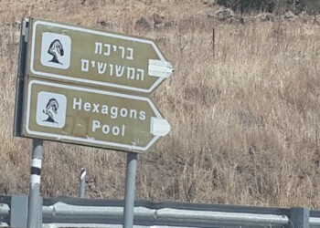 תוצאות חריגות בבריכת המשושים – הכניסה עלולה להיות מסוכנת