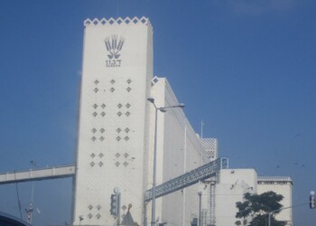 הכנסת אישרה: חובת דיווח על מלאי החיטה בישראל