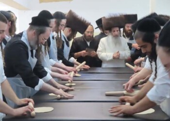 פסח בחצר הקודש אונגוואר