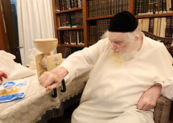 מרן הראב”ד הגר”מ שטרנבוך שליט”א בטחינת חיטים