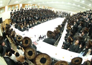 פסח בחצר הקודש ערלוי