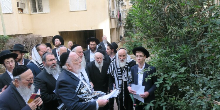 מרן הגר”י זילברשטיין שליט”א בברכת האילנות