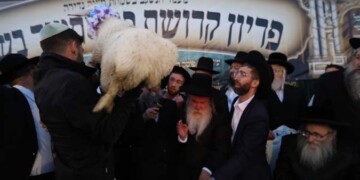 צפו: מעמד פדיון פטר חמור במירון