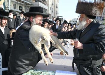 בית שמש לא ראתה מעמד כזה שנים – פדיון פטר חמור כפול
