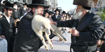 בית שמש לא ראתה מעמד כזה שנים – פדיון פטר חמור כפול