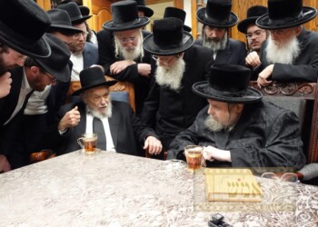 צפו: מרן הגרמ”ה הירש אצל כ”ק האדמו”ר מבעלזא