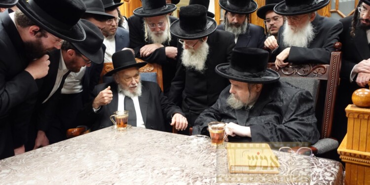 צפו: מרן הגרמ”ה הירש אצל כ”ק האדמו”ר מבעלזא