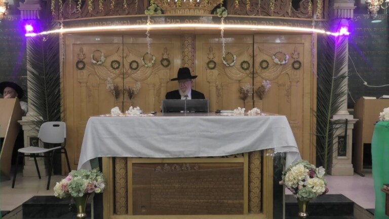 צפו: מרן הגר"צ מאזוז על היועמשית: "איזבל" של ימינו