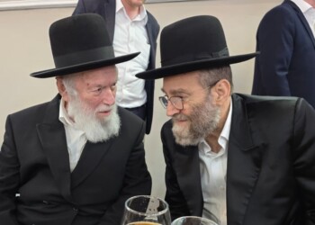 צפו: הגר”י זילברשטיין נגד מבקרי ח”כי דגל התורה