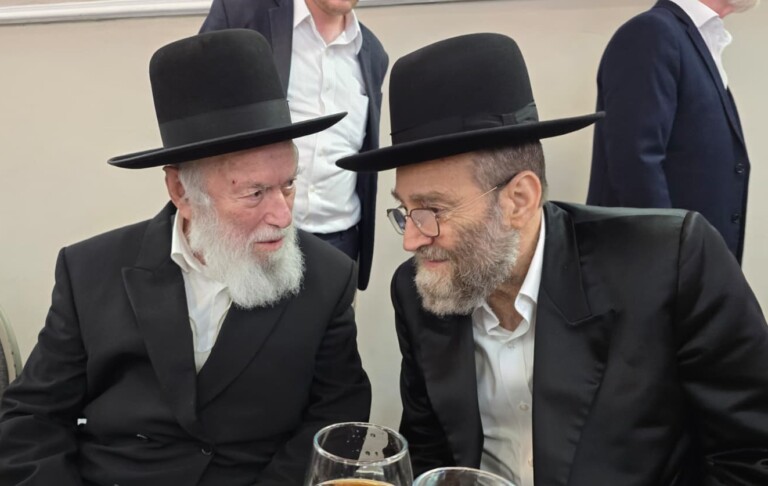 צפו: הגר"י זילברשטיין נגד מבקרי ח"כי דגל התורה