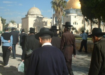 דרמה! כ”ק האדמו”ר מאמשינוב מתיר עלייה להר הבית