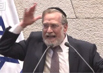 צפו: פינדרוס יצא נגד אלימות המשטרה בהפגנת הר”צפניקים