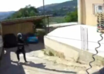 צפו במרדף הדרמטי: אסיר בחופשה גנב רכב בשווי רבע מיליון ונעצר