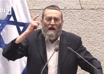 צפו בגפני על היועמ”שית: האישה הזו פוגעת בתינוקות חרדים