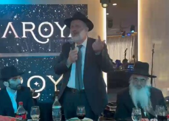 דרעי על היועמ”שית: מרשעת שרודפת את עולם התורה