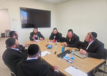 מפגן הרכבים: הוועדה התכנסה וקבעה יציאה מ-19 ערים
