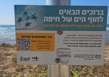 חיפה מצטרפת לפרויקט עולמי לניטור החופים – מה זה אומר?