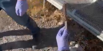 מחבל נתפס במוצ"ש בחקירתו הודה תכנן פיגוע