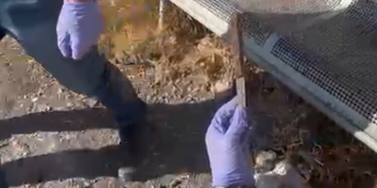 מחבל נתפס במוצ"ש בחקירתו הודה תכנן פיגוע