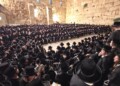 צפו: בחורי חסידי בעלזא בכותל בשירה לאחר צאת תשעה באב