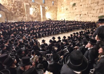 צפו: בחורי חסידי בעלזא בכותל בשירה לאחר צאת תשעה באב