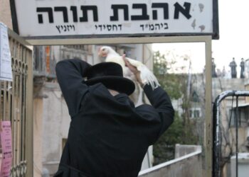 לקראת מנהג ‘כפרות’ נערכה פגישה עם הוטרירנר העירוני