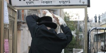 לקראת מנהג ‘כפרות’ נערכה פגישה עם הוטרירנר העירוני