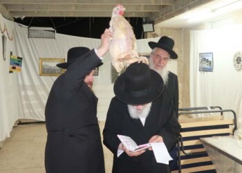 מרן הגר"י זילברשטיין שליט"א בעריכת כפרות על תרנגול