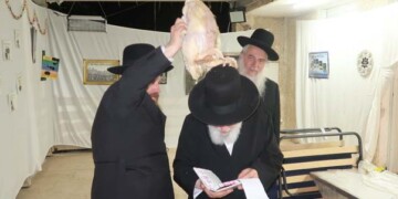 מרן הגר"י זילברשטיין שליט"א בעריכת כפרות על תרנגול