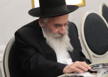 ברוך דיין האמת: הרה"ג יהושע דוד ויספיש ז"ל