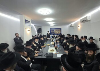 פיצוץ בין הסיעות המרכיבות את אגו"י במהלך ישיבת המועצה