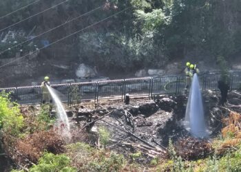 שריפה פרצה בחורש בפתח שכונת רמת ויז’ניץ