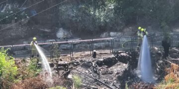 שריפה פרצה בחורש בפתח שכונת רמת ויז’ניץ