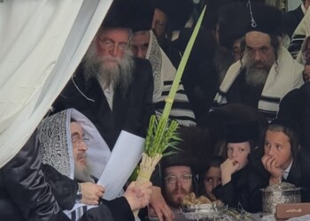 האדמו"ר מויז'ניץ בנענועים בסוכתו הפרטית