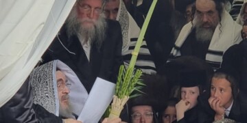 האדמו"ר מויז'ניץ בנענועים בסוכתו הפרטית