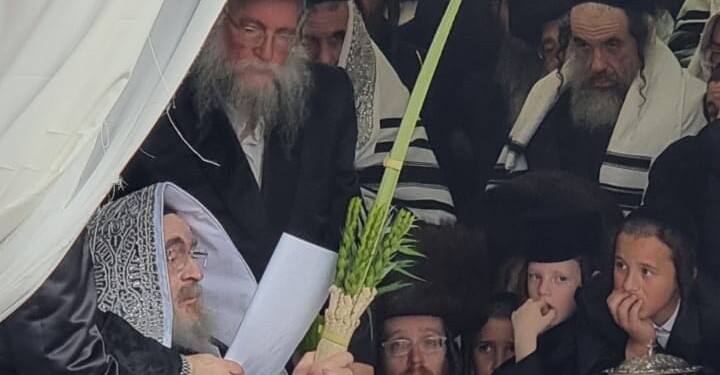 האדמו"ר מויז'ניץ בנענועים בסוכתו הפרטית