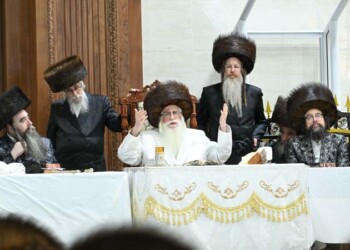 גלריה מערב ראש השנה וצאת החג בצאנז