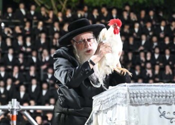 ערב ומוצאי יו"כ בחצר צאנז  – גלריה