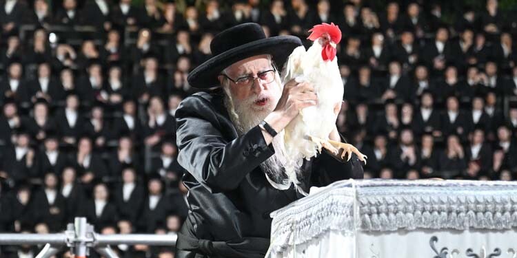 ערב ומוצאי יו"כ בחצר צאנז  – גלריה
