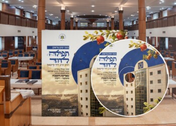 תפילה לדוד": פרויקט הדגל המוזיקלי של 'מארינה רושצ'ה'