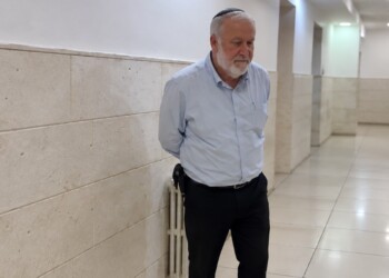 מנדלבליט טען שהותקף ע"י עיתונאית – הוידיאו מראה אחרת